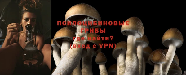 прущий лед Аркадак