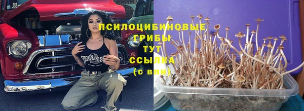 прущая мука Арсеньев