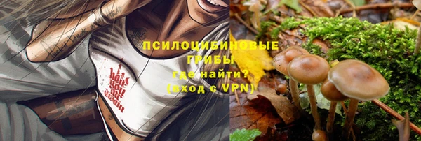 прущий лед Аркадак