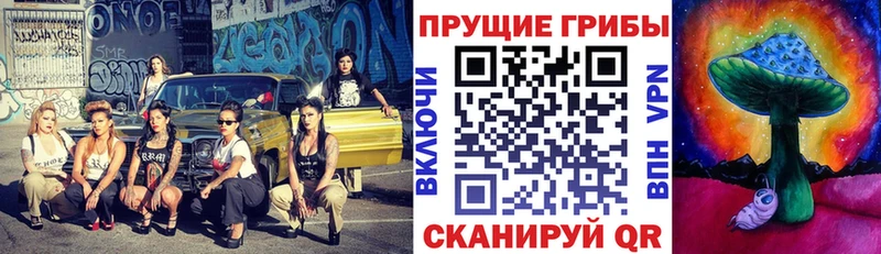 Псилоцибиновые грибы GOLDEN TEACHER  дарк нет официальный сайт  Кологрив  купить  