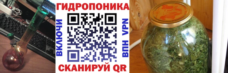 как найти Кологрив МАРИХУАНА индика
